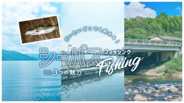 日本全国だいたいどこでも釣れる！シーバスフィッシング3つの魅力